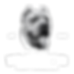 No Circle 2.png